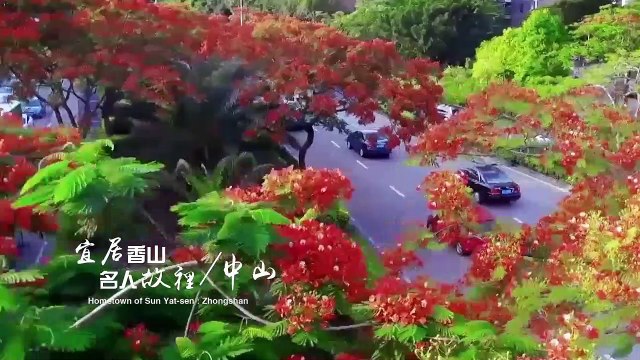 Film court Grande baie de Guangdong-Hong Kong-Macao (version en anglais)