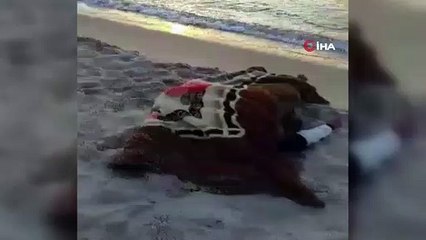 - Libya açıklarındaki göçmen dramında yeni gelişme