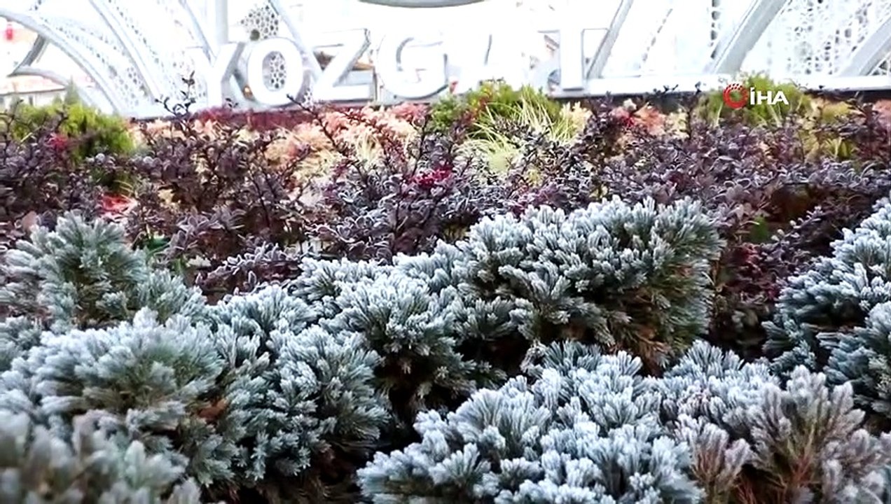 Hava Sıcaklıkları Düştü, Yozgat Buz Tuttu