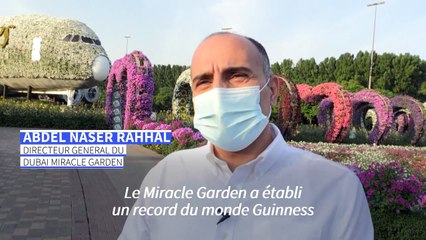Le "Dubaï Miracle Garden" ouvre ses portes