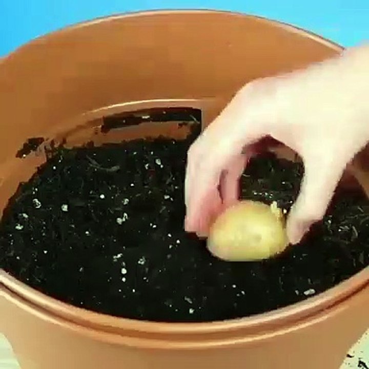 Do it YourSelf Videos 263