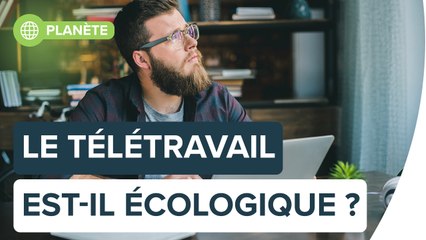 Quel est l'impact du télétravail sur l'environnement ? | Futura