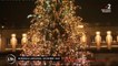 Noël : un maire corrézien achète le sapin géant retoqué par Bordeaux