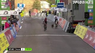 Dog Terrorizes Racers at Vlaamse Druivencross