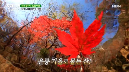 여행을 통해 신체 노화를 늦출 수 있다구요?! 네! 있습니다( •͈ᴗ-)ᓂ-ෆ