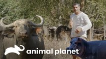 Frank conoce de cerca a dos de las especies más grandes de África | Wild Frank | Animal Planet