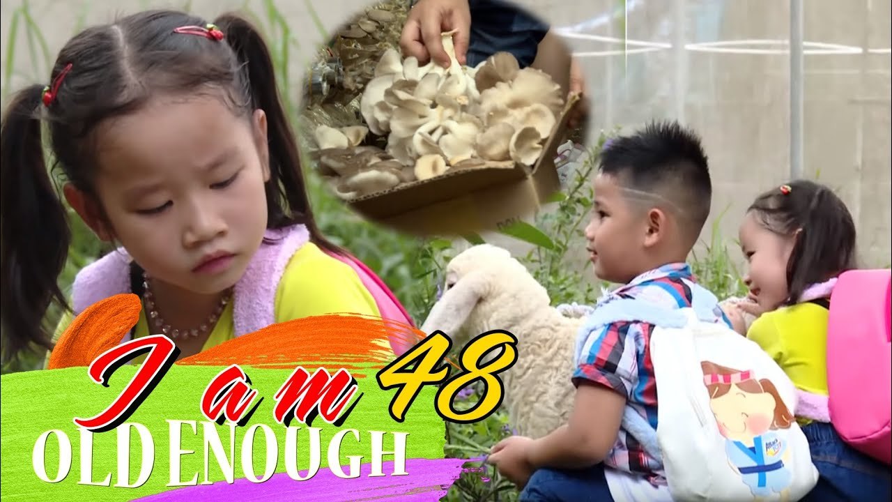Hai anh em đi hái nấm nhưng lại cuống cuồng vì CHÚ CỪU RẮC RỐI  | I AM OLD ENOUGH #48