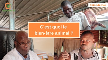 Point de vue : C’est quoi le bien-être animal ?