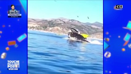 C'est quoi la suite ? Spécial Scoumoune