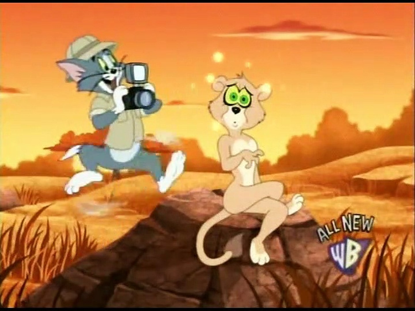 ⁣Tom And Jerry Shows  You're Lion