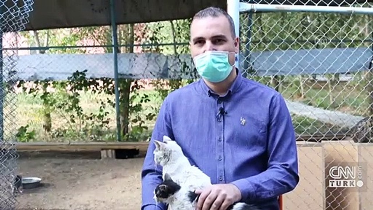 Ampute hayvanlar burada tedavi altına alınıyor | Video