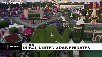 Fotopause im Blumentunnel: Dubai öffnet seinen "Miracle Garden"