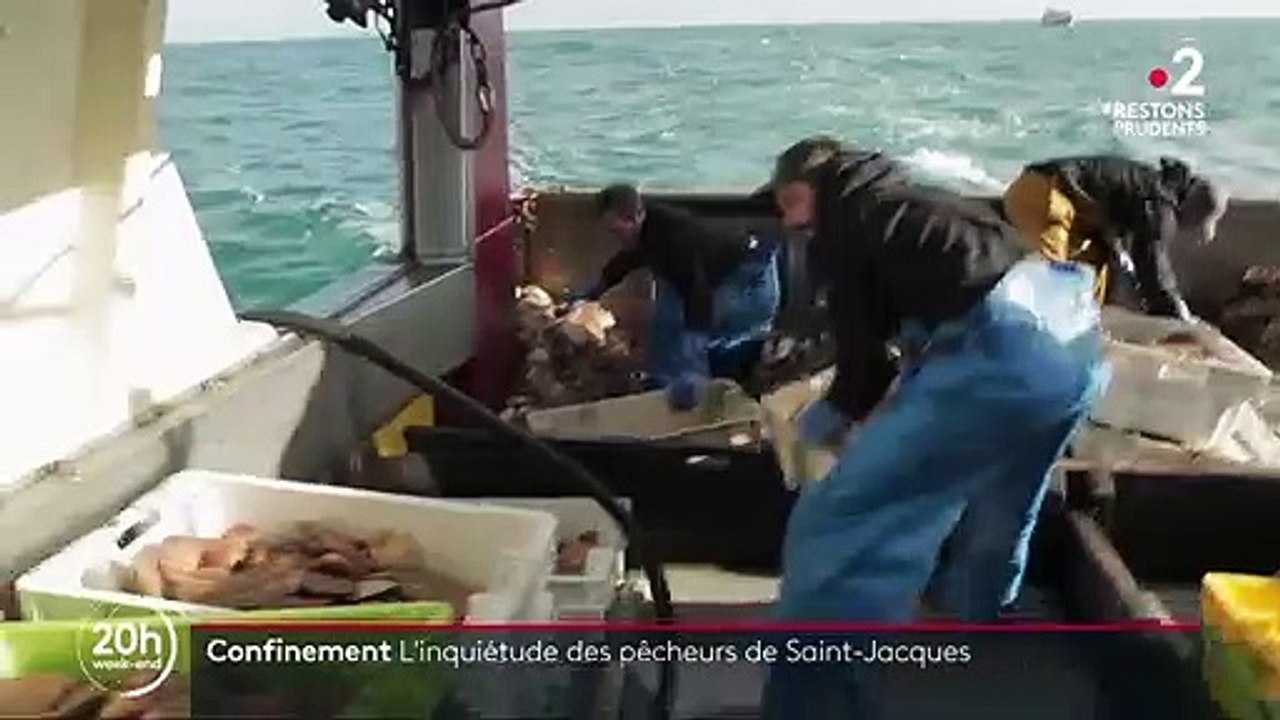 Reconfinement : les pêcheurs des coquilles Saint-Jacques dans l'incertitude