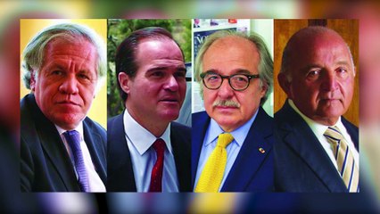 A debate en el grupo IDEA:  efectos de la pandemia en la democracia y el desarrollo