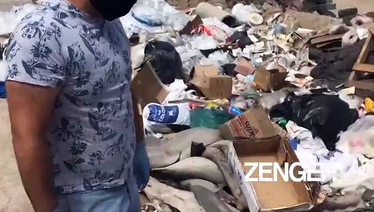 MutilatedSharkChile(Realpress)