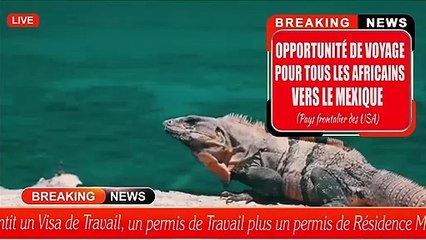 Voyager facilement partout dans le monde avec Pacific expert voyage