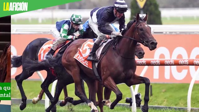 Galileo, el caballo que vale más que Lionel Messi y Cristiano Ronaldo juntos