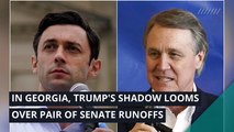 In Georgia, Trump's shadow looms over pair of Senate runoffs, and other top stories in politics from November 14, 2020.