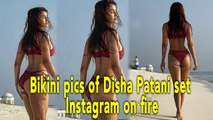 Bikini pics of Disha Patani set Instagram on fire