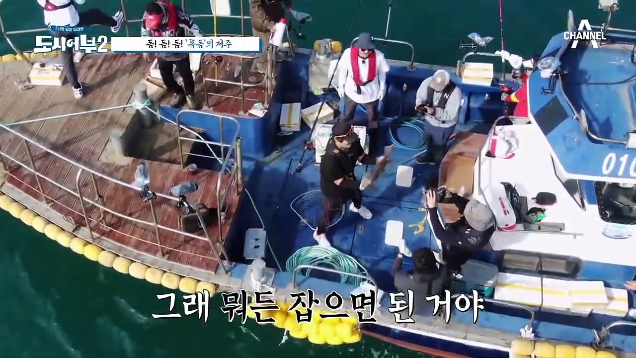 [#도시어부2] "또 너냐?!" 참돔&돌돔 대신 혹돔! 기본이 5짜 ♨혹돔의 저주♨