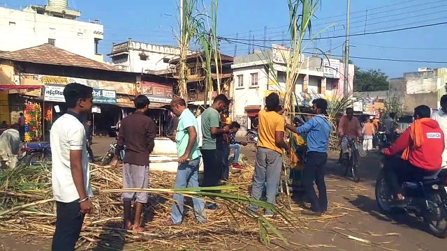 आगर मालवा: शहर के अलग अलग क्षेत्रों में बड़ी मात्रा में बिकने आया गन्ना