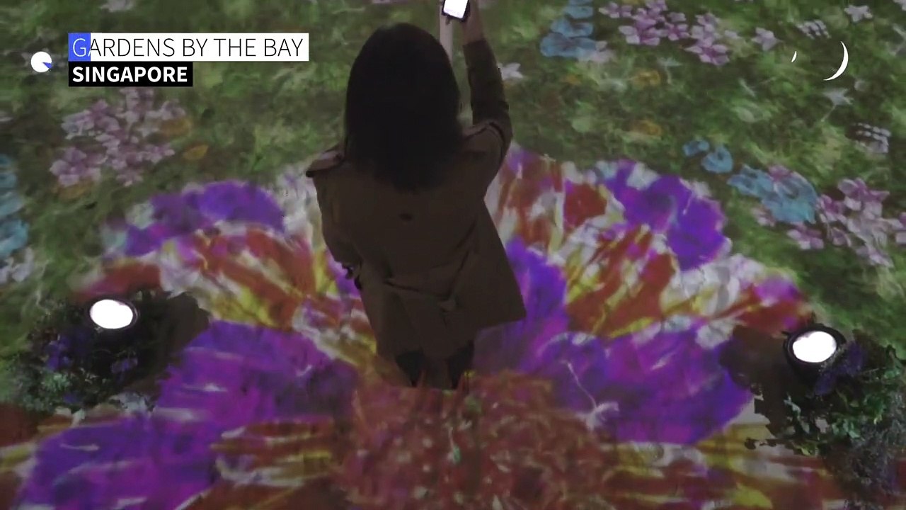 'Flowers' bloom between Singapore and Tokyo despite travel ban