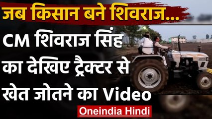 Download Video: Viral Video: CM Shivraj Singh Chauhan ने अपने वेयरहाउस के खेत में चलाया ट्रैक्टर | वनइंडिया हिंदी