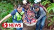Hiker dies after falling 80m into a gorge in Batu Pahat