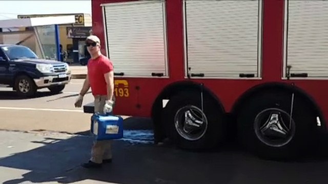 Captura de ouriço mobiliza bombeiros até empresa no São Cristóvão