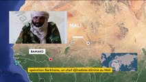 Opération Barkhane : un chef djihadiste tué au Mali