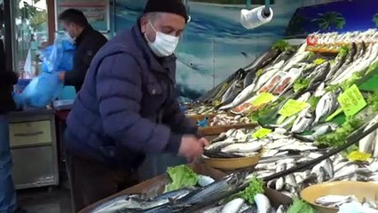 Hamsi fiyatları düşüşe geçti