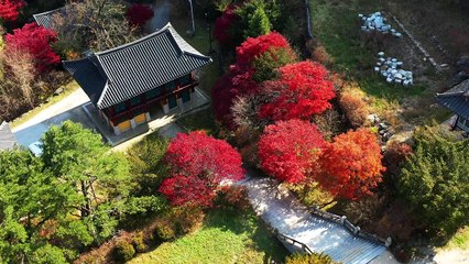 랜선 '가을 단풍' 여행...산마다 色 달라 / YTN