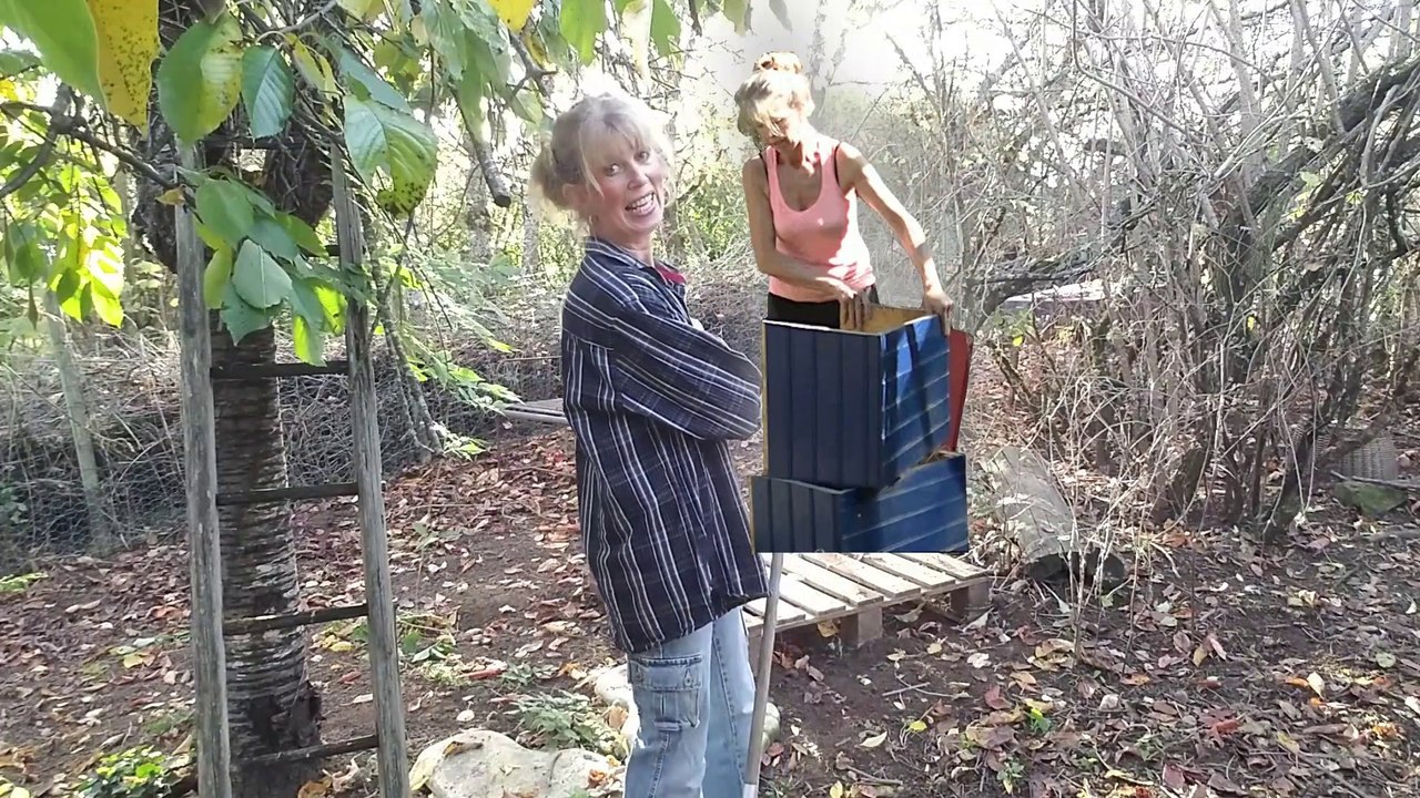 B12 - Hühner Haus Umzug