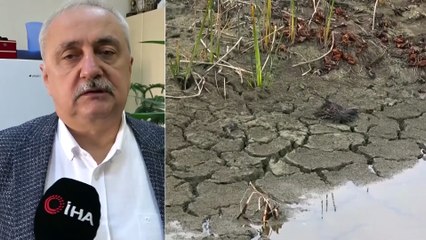Kızılırmak Deltası Kuraklık Alarmı! Susuzluktan Çatlayan Topraklar Böyle Görüntülendi