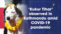 'Kukur Tihar' observed in Kathmandu amid Covid-19