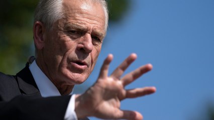 Peter Navarro: America Is Operating Under 'An Immaculate Deception'