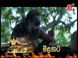 Mini Pahana Obai (181) 14-11-2020