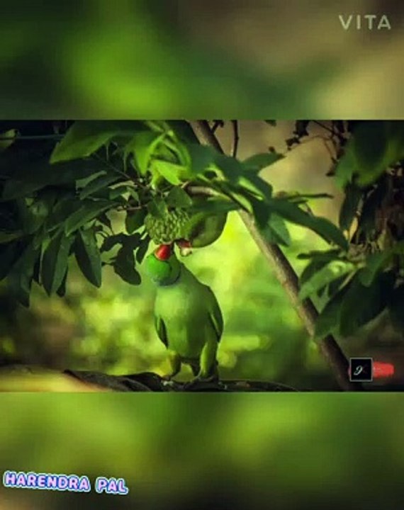Aao sunau pyar ki ek kahani whatsapp status
