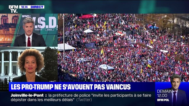 Présidentielle américaine: les manifestants pro-Trump réunis à Washington - 14/11