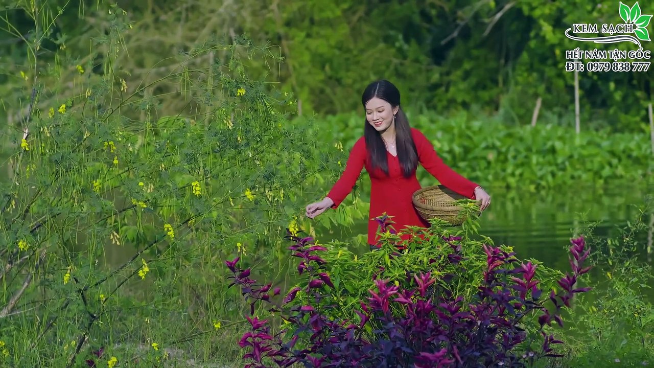 THƯƠNG EM CÔ ÚT MIỀN TÂY - ÚT NHỊ x LƯƠNG MINH ĐẠT