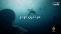 وثائقي لغز تنين البحر - الجزيرة الوثائقية