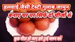 Paneer Gulab Jamun Recipe i cheese cottage Gulab jamun sweets i EASY RECIPE BY SAFINA KITCHEN