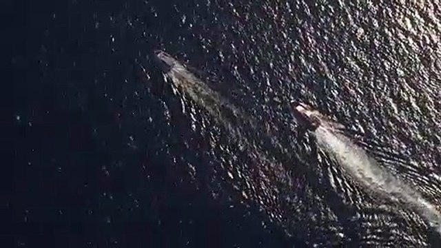 Pesca illegale bloccato peschereccio tunisino a Pantelleria (14.11.20)