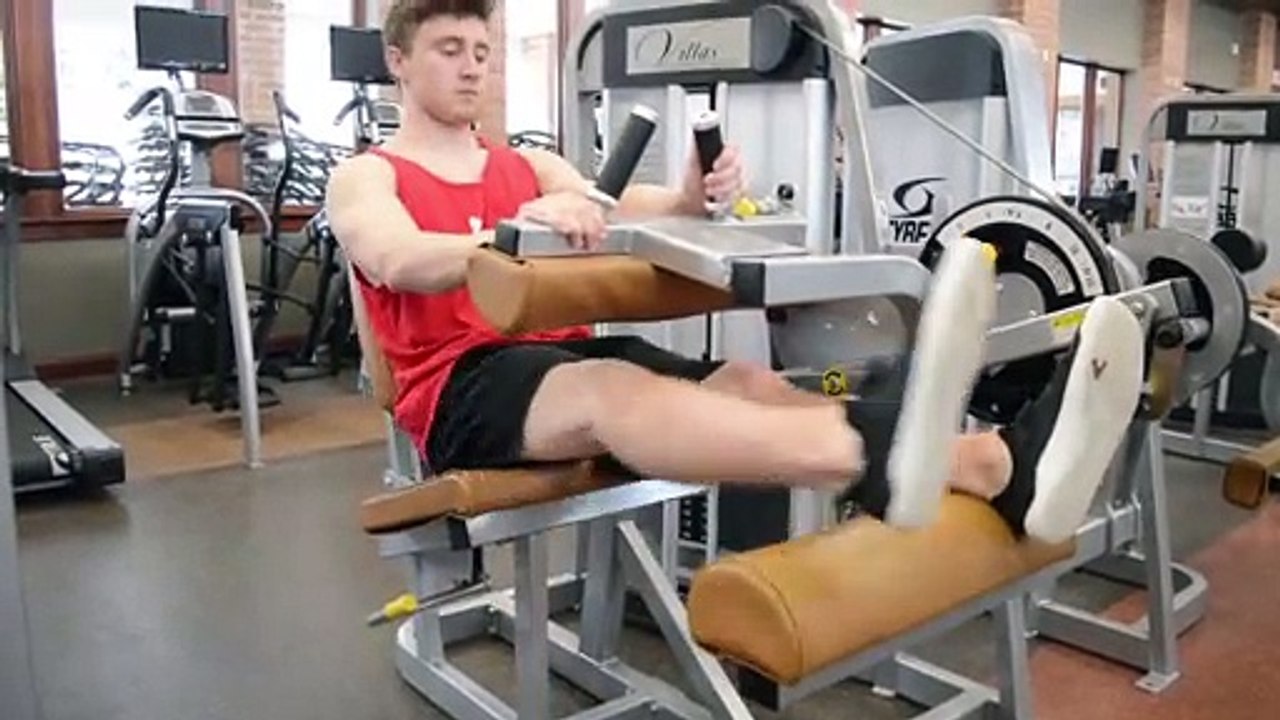 Seated Leg Curl