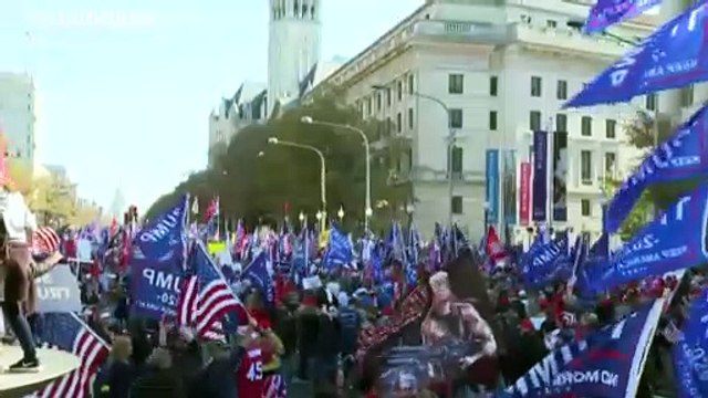 Сторонники Трампа вышли на акцию За честные выборы