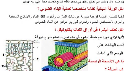 سؤال وجواب مادة الاحياء الصف الحادي عشر2020