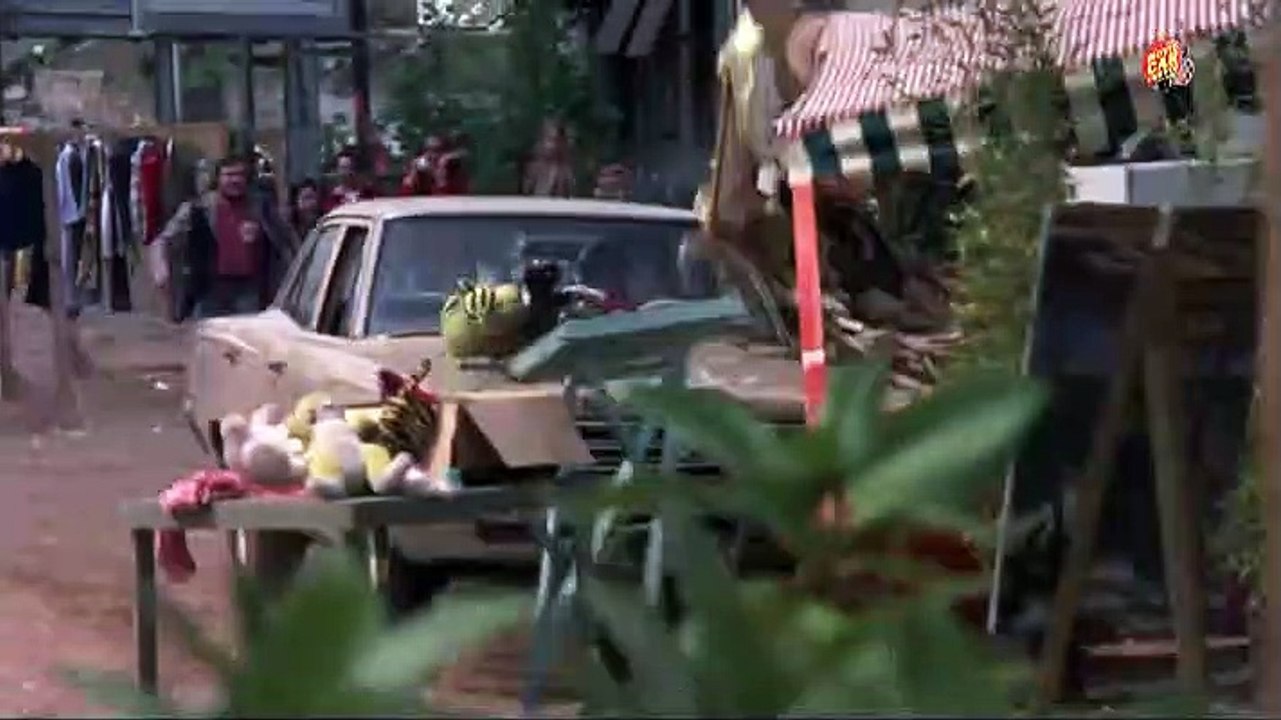The Stone Killer (1973)