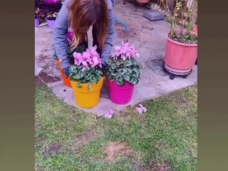 Λασκαράκη-Σουλτάτος: Βρήκαν νέο χόμπι μέσα στο lockdown! Δεν πάει ο νους σας!