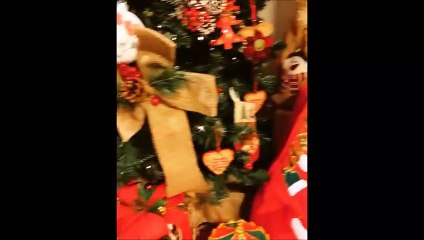 Η ελληνική σόουμπιζ στόλισε χριστουγεννιάτικο δέντρο!