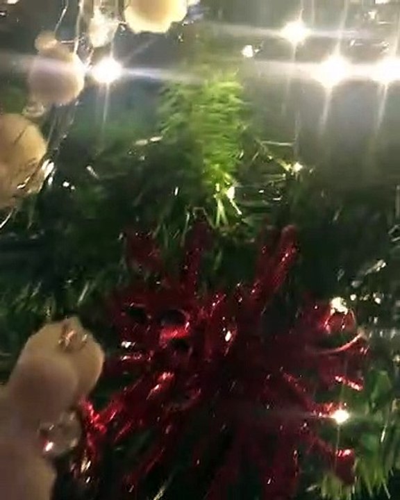 Η Ρούλα Κορομηλά στόλισε το χριστουγεννιάτικο δέντρο!